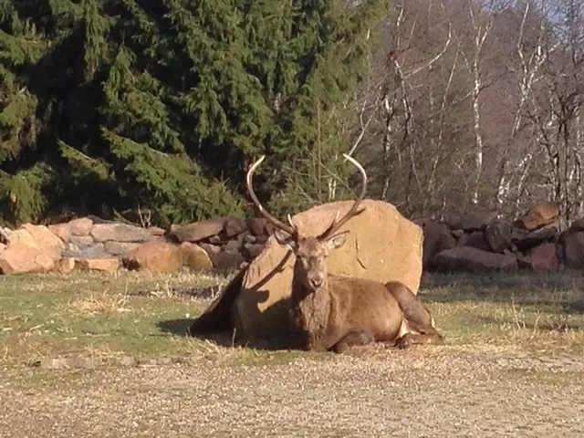 Les Gîtes de la Ferme du Schneeberg