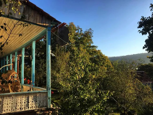 Toon Armeni Little Village