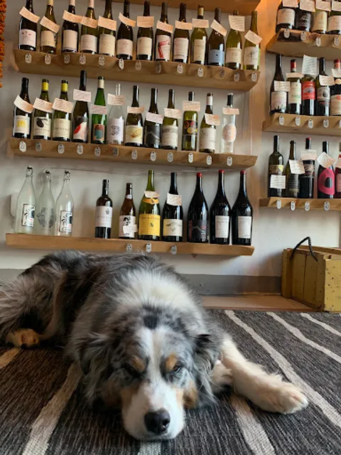 Corner Office Food & Wine