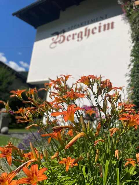 Appartement Bergheim