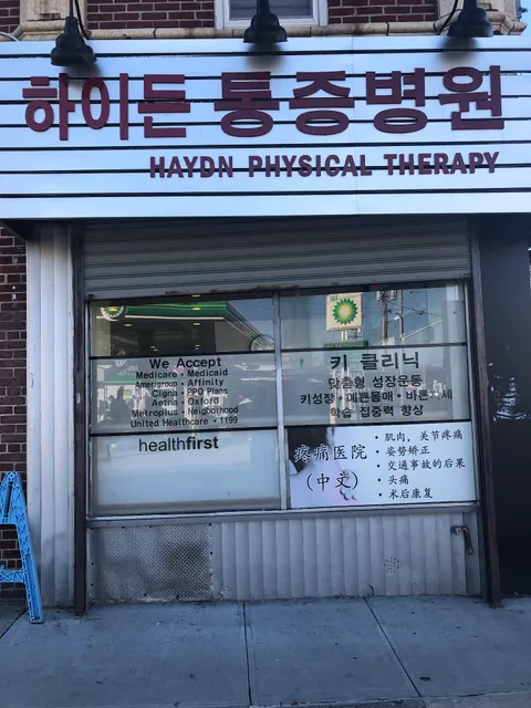 Haydn Physical Therapy - 하이든 통증병원