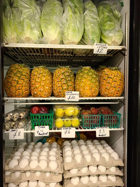 Gina's Fresh Produce