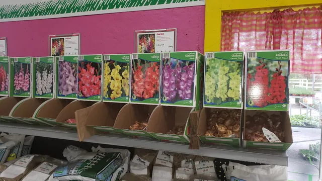 Buena Vista Charter Township