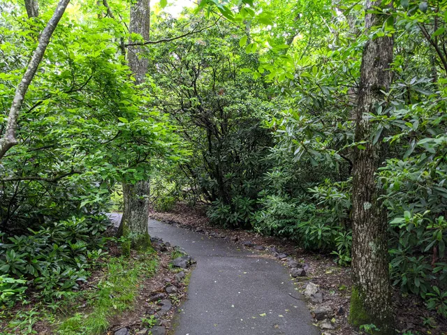 Wagon Train Trailhead