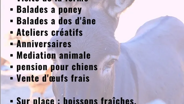 Augustine et compagnie