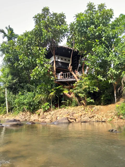 Abe Tree House