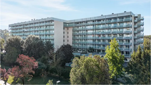 Occidental Aran Park