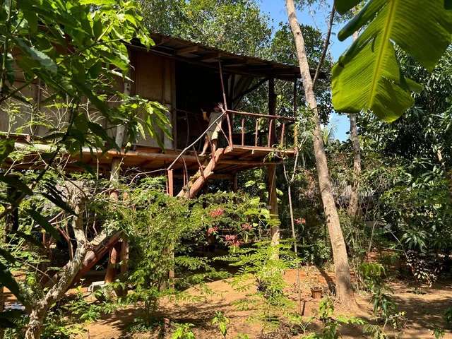 Akash TreeHouse