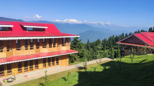 Little Forest Homestay