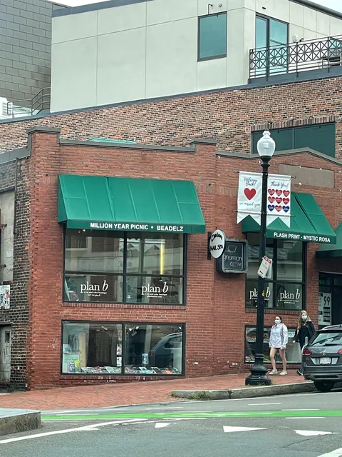 The Million Year Picnic