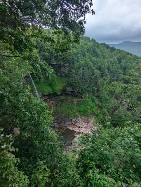 Scutt Road Trailhead
