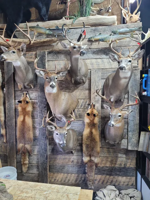 Cutchins Trail Taxidermy