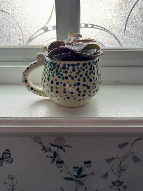 Crockery Painted Pottery