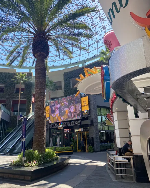 Universal City/Studio City