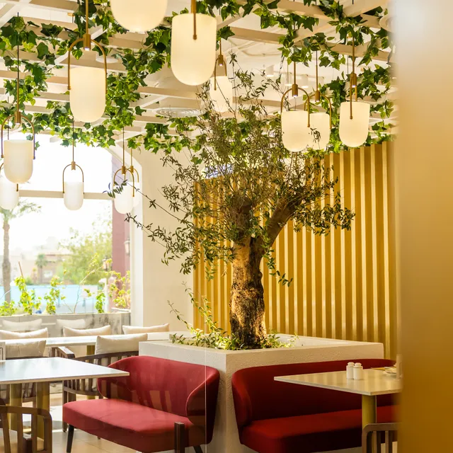 مطعم ألميّاس | Almayass Restaurant