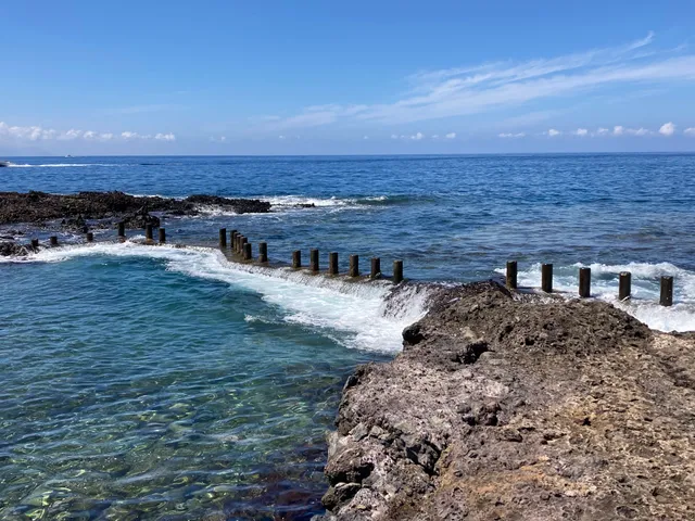 Natural swimming pool