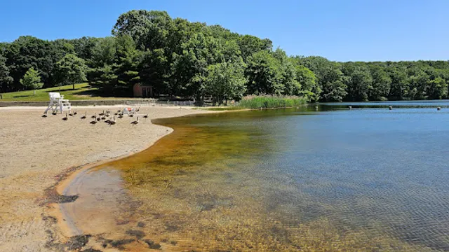 Hooks Creek Lake Beach