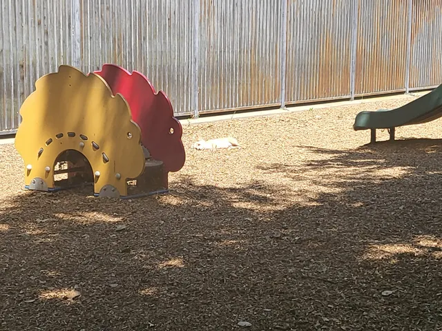 Grant Park Playground