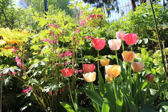 Ferienwohnung Eschenbeek