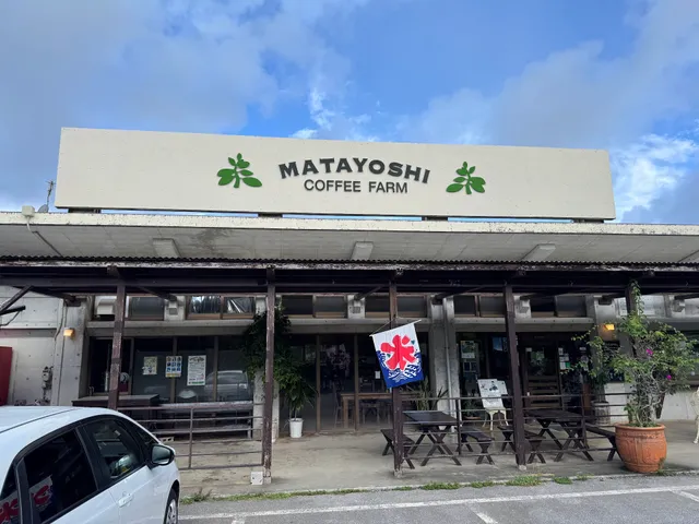 Matayoshi Coffee Farm