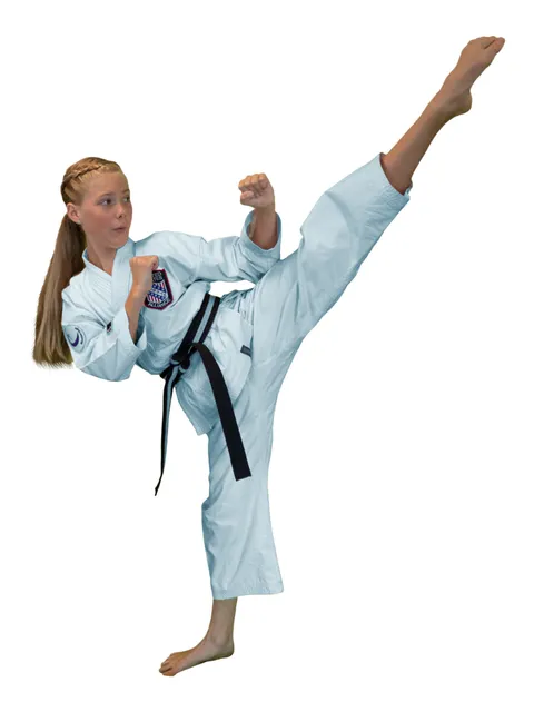Mountain Eagle Karate Academy