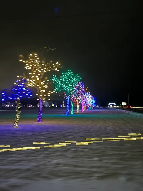 Holiday Lights at the Fairgrounds