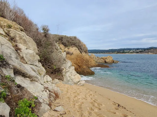 Monastery Beach