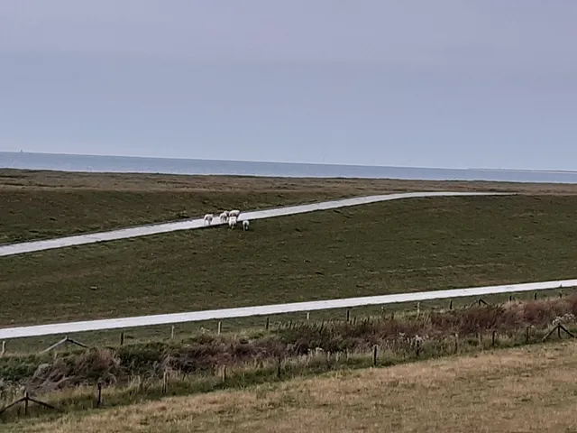 Hof zwischen den Deichen