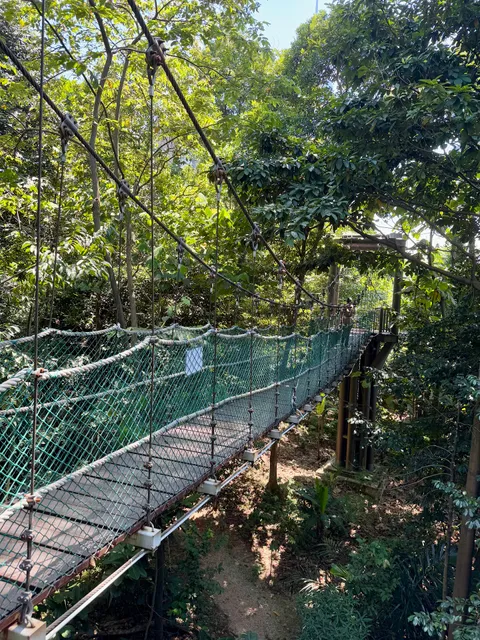 KL Forest Eco Park Canopy Walk