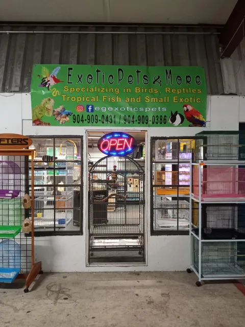 Eg Exotic Pets & More LLC