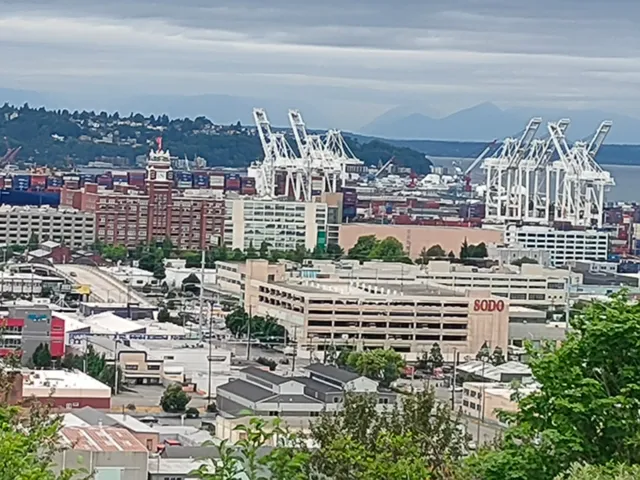 12th Ave. S Viewpoint