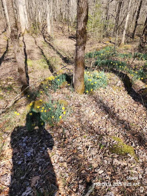 Riverview Quiet Walkway Trailhead
