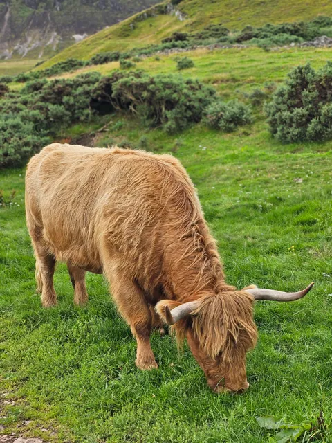 Pentland Hills Regional Park (Swanston)
