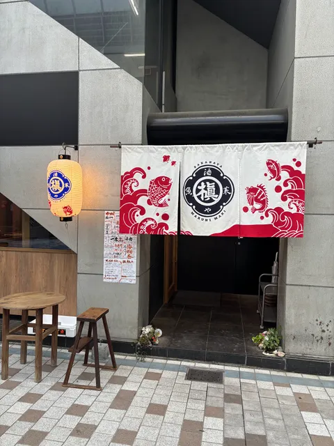 魚酒菜や マルニ槇