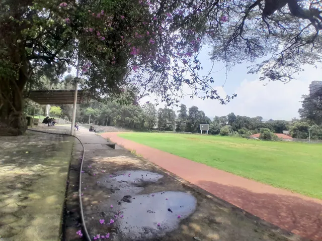 አዲስ አበባ ዩንቨርስቲ ስታዲዮም | Addis Ababa University Stadium