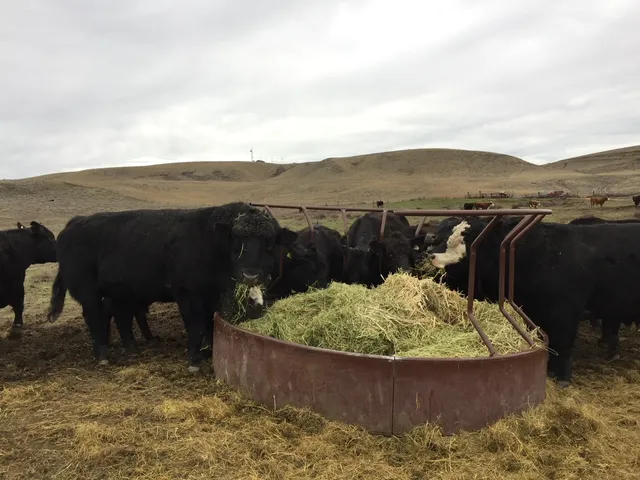 Farm Fresh Northwest