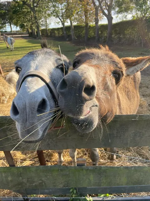 Ferienbauernhof Kruse