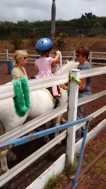 Horseplay equestrian center