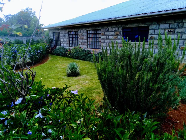 Green Leaves Homestay