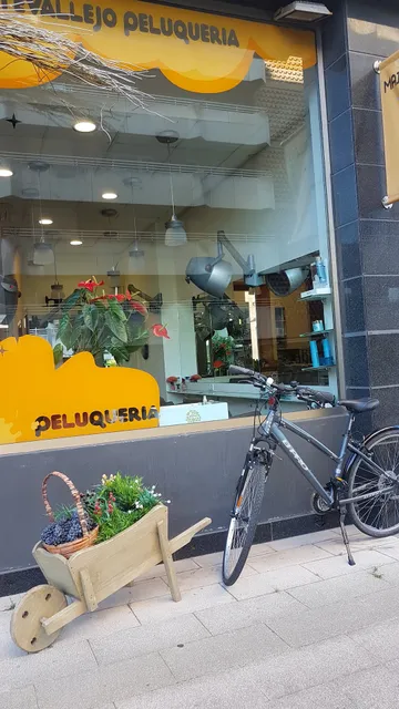 Maite Vallejo Ile-apaindegia