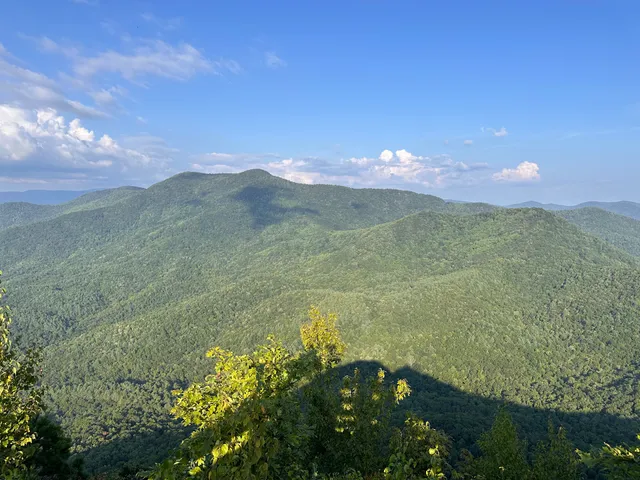 Bell Knob