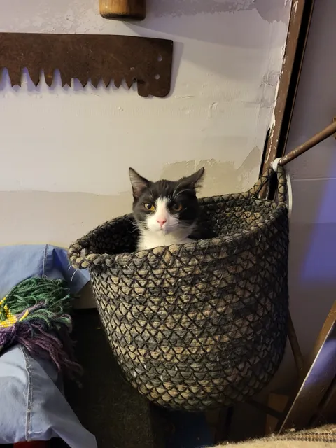 Versailles Veterinary Clinic