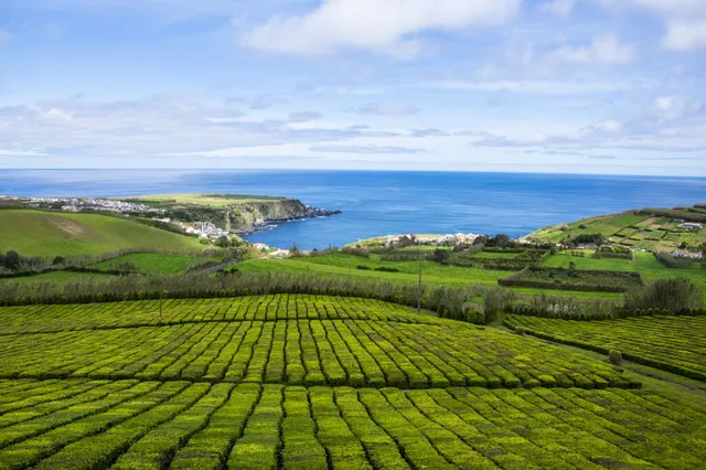 Futurismo Azores Adventures