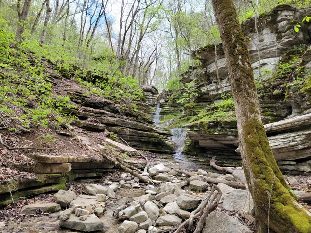 Blanchard Spring Trailhead