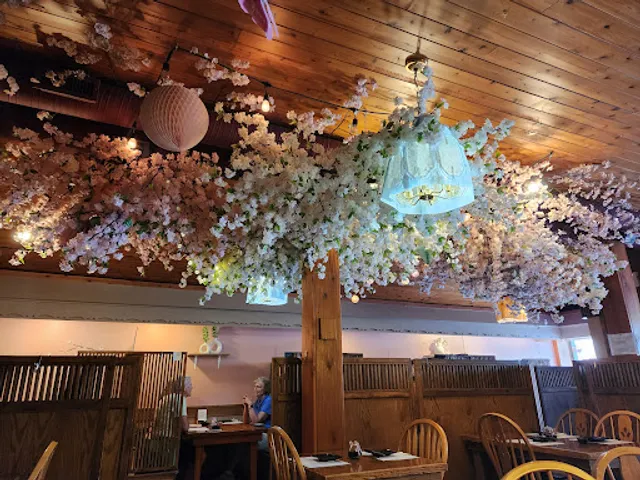 Sakura Sushi & Grill