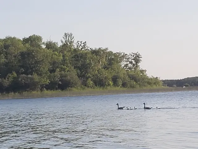 Northern Lights Camp