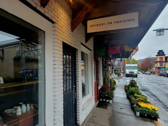 Species by the Thousands