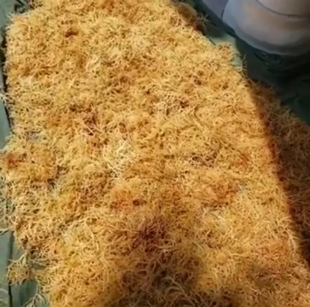 Zalian business limited company