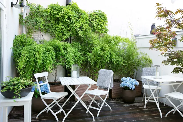 Bacán Bed & Breakfast