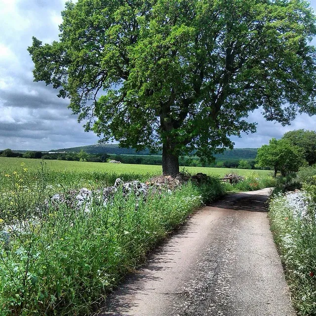 Il Trullo del Viaggiatore